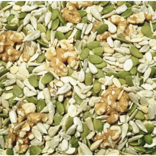 Classic Seeds Mix Walnut Raisin Sunflower Seed Daily Healthy Snack Kacang Campuran
