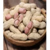 20pc Seed Fresh Peanut Groundnut brown white skin 20pc