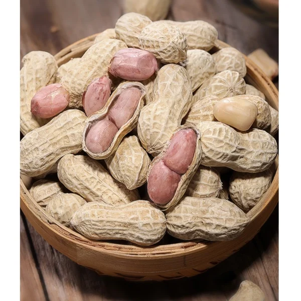 20pc Seed Fresh Peanut Groundnut brown white skin 20pc