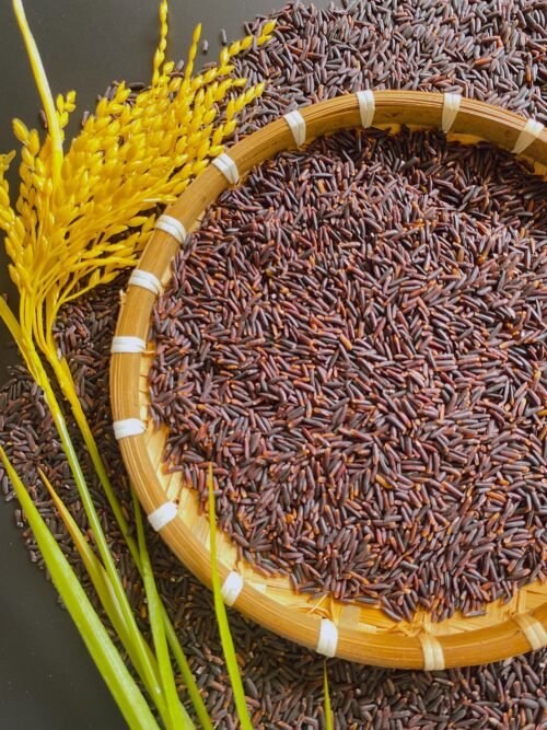Vilaconic High Quality Brown Rice From Vietnam Long-Grain