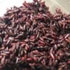 Vilaconic High Quality Brown Rice From Vietnam Long-Grain