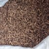 Changbai Mountain Dandelion Root Tea