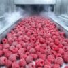 Frozen Raspberries Wholesale 100% Natural Fresh Red Raspberry Whole for Smoothies Jam & Bakery
