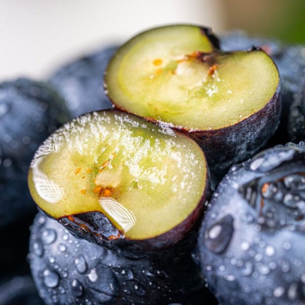 Frozen Bluecrop Blueberries
