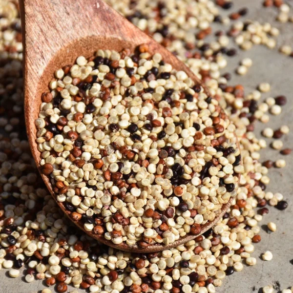 Foodco Tri-Colour Quinoa Blend – Red, Black & White Quinoa Healthy Rice Superfood