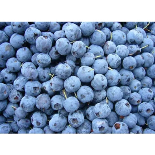 IQF Frozen Fruit & Berry Selection (1kg)