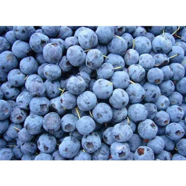 IQF Frozen Fruit & Berry Selection (1kg)