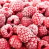 IQF Frozen Fruit & Berry Selection (1kg)