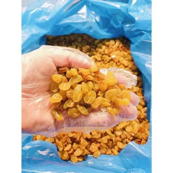 Golden Jumbo Raisins – Fruity Dried Grapes