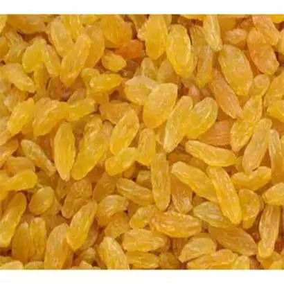 Golden Jumbo Raisins – Fruity Dried Grapes