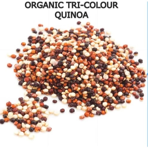 Organic Tri-Colour Quinoa 1kg Imported from Bolivia – Healthier Choice (Wholesale Pricing Available)